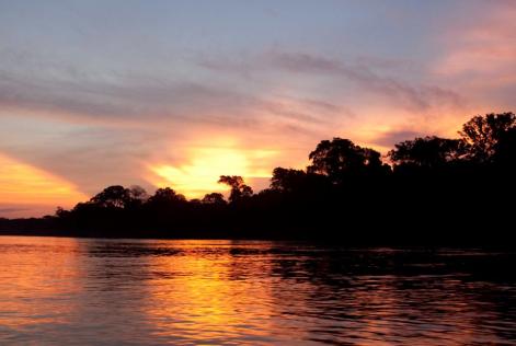 Bosques de Perú