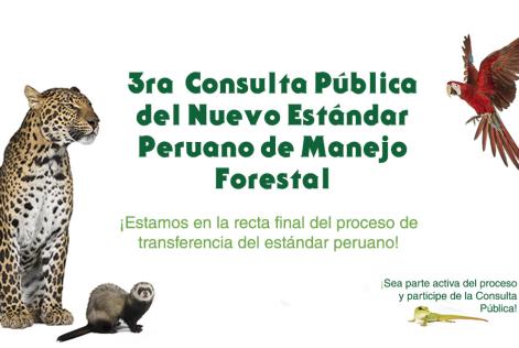 3er Consulta Pública