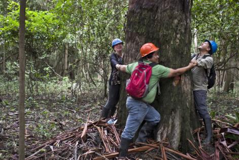 Nosotros certificamos grandes y pequeños bosques