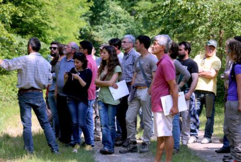 Estándar Nacional de Manejo Forestal Italia